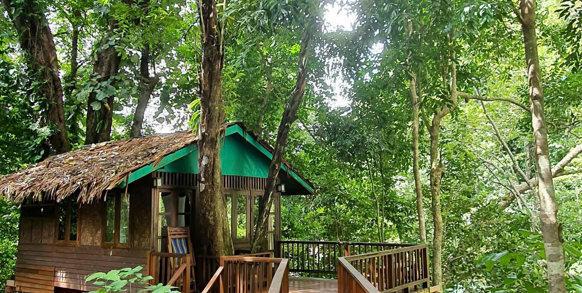 Bo i tree top-huse i økoresortet Our Jungle House