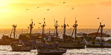 peru - paracas_havn_baad_01