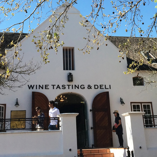 sydafrika - stellenbosch_vin_01