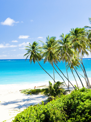 Bottom Bay på Barbados