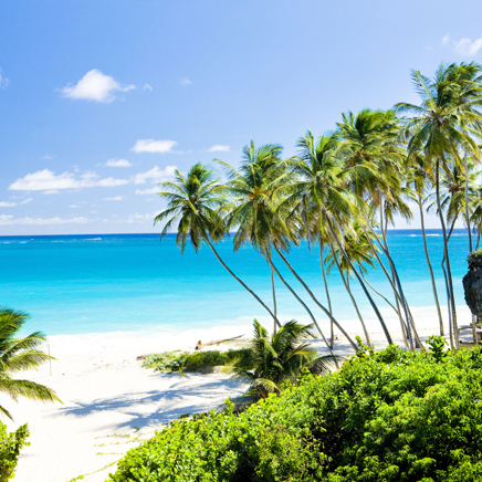 På Barbados kan I besøge en af de smukke strande