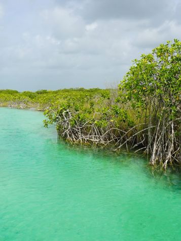 Tulum Sian Ka'an Økosystem 688882582