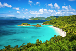 dansk vestindien - st john_trunk bay_07_02