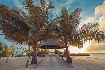 lily beach resort_bro_01