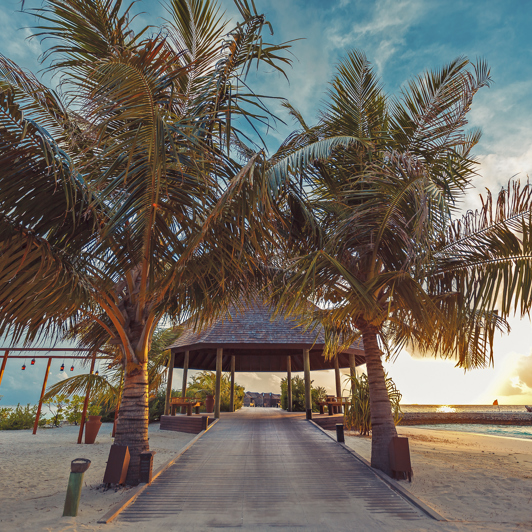 lily beach resort_bro_01