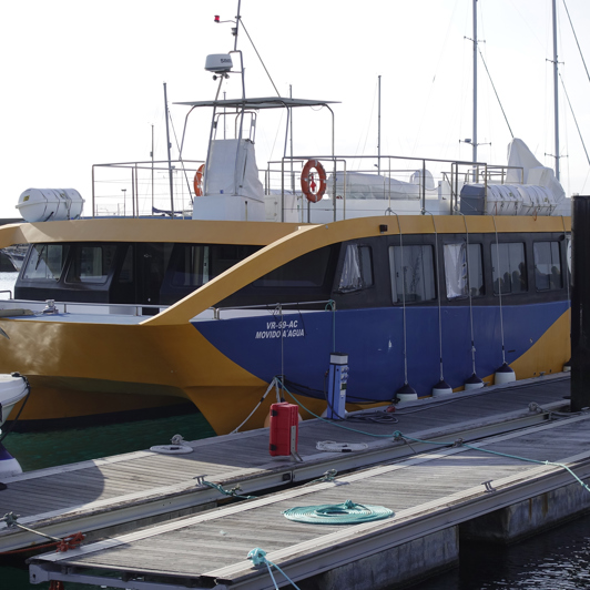 Azorerne_hvalsafari_04