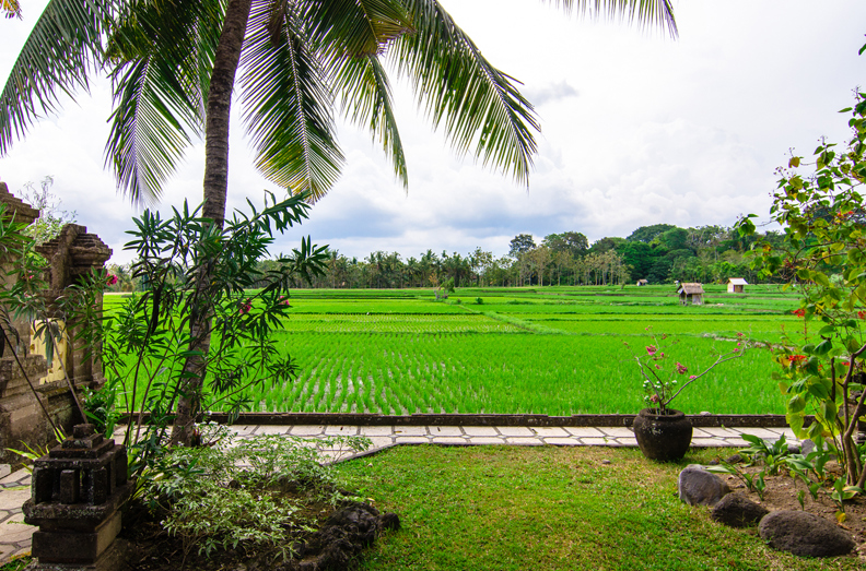 bali - green field hotel_udsigt_01