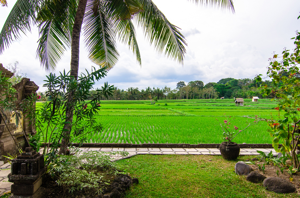 bali - green field hotel_udsigt_01
