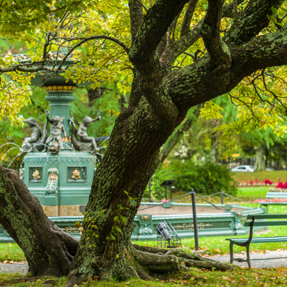 canada - Halifax_public garden_01