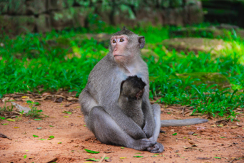 cambodia - kep_abe_01