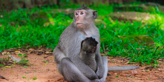 cambodia - kep_abe_01