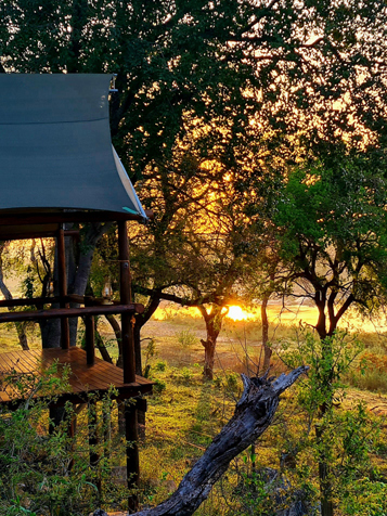 NYATI Safari Lodge