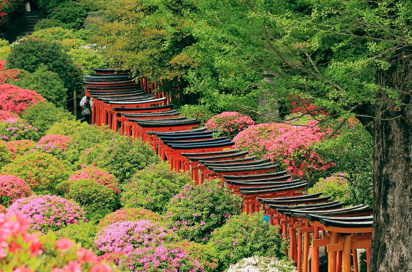 japan - tokyo_nezu_museum_01