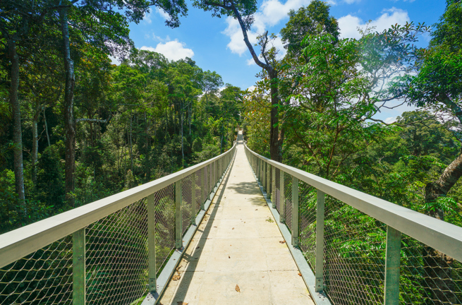 malaysia - penang_habitat_01