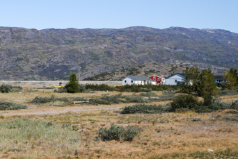 Narsarsuaq_15