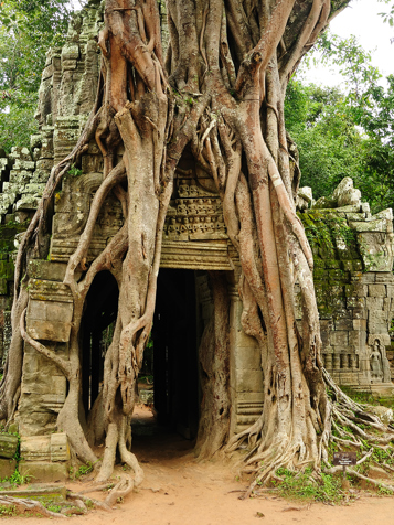cambodia - siem reap_ta prohm tempel_01_hf