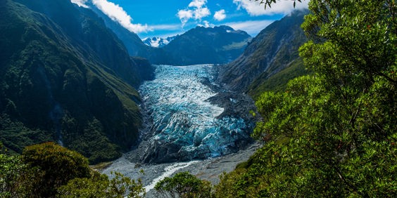 new zealand - fox_gletsjer_02