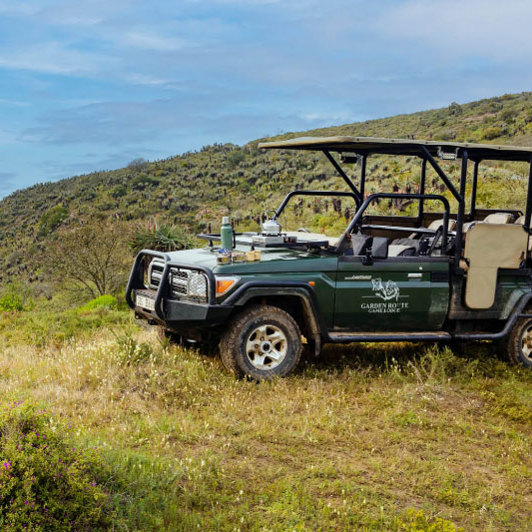 Safarijeep