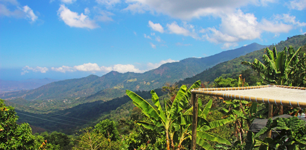 colombia - colombia_minca_kaffeomraade_natur_udsigt_01