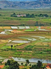 Antsirabe_rismark_02