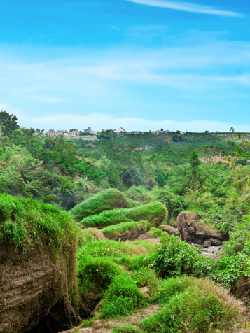 Vietnam - dalat_landskab_01