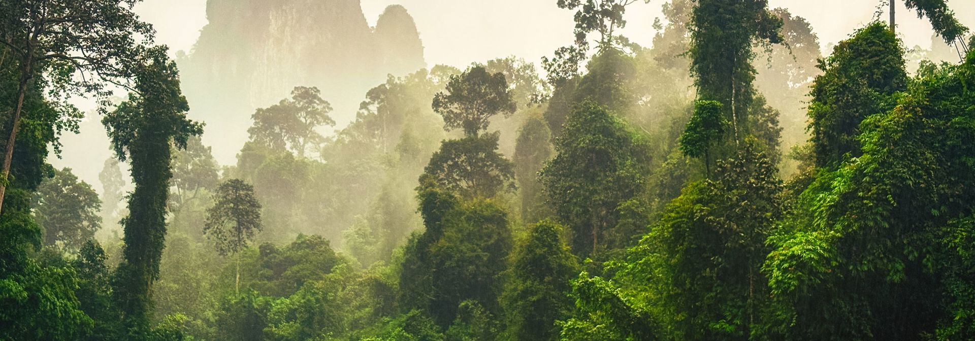 Khao Sok National Park Thailand 2723681621