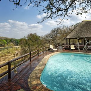 Cheetah Camp