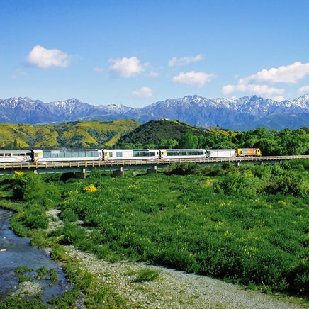 ... og i Christchurch går vi ombord på TranzAlpine-toget for at køre tværs over øen