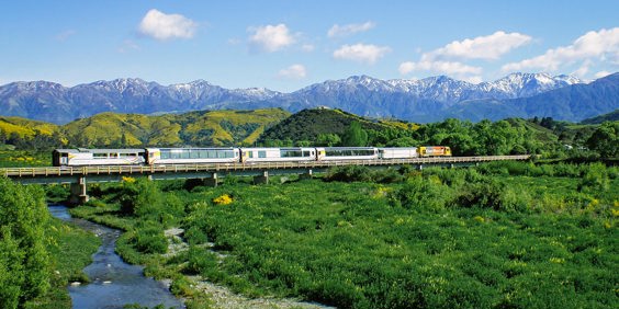 new zealand - tranzalpine tog 01