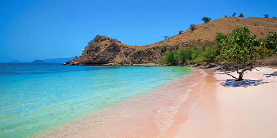 bali - komodo_pink beach_03