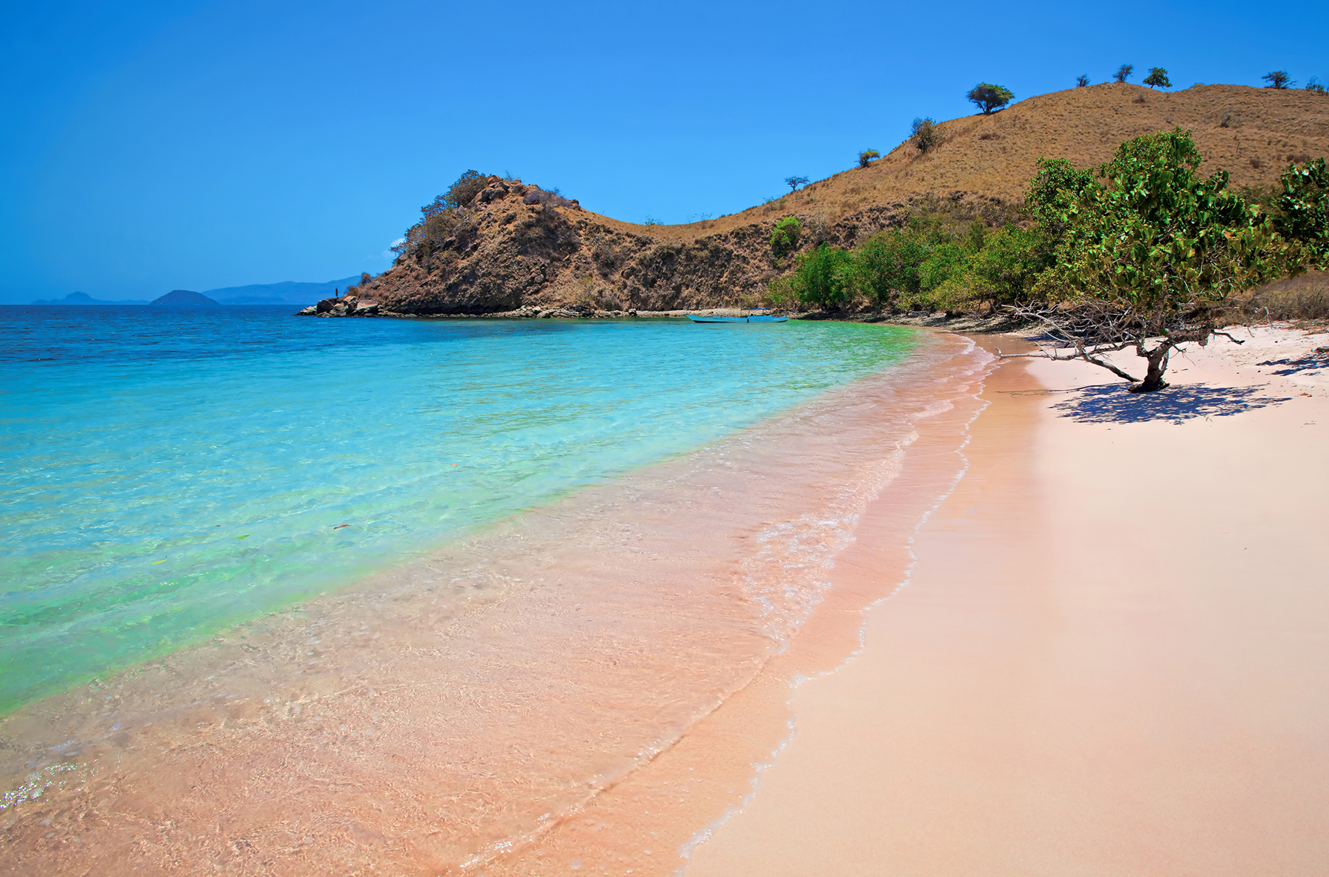 bali - komodo_pink beach_03