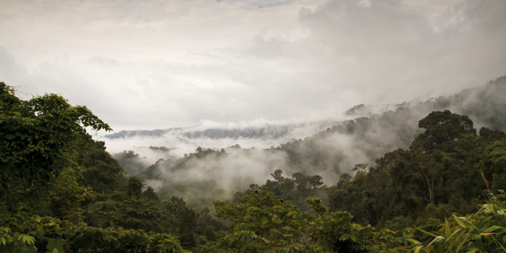 thailand - khao sok nationalpark_02