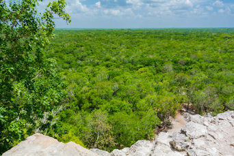 mexico - Yucatán_Coba_udsigt_02