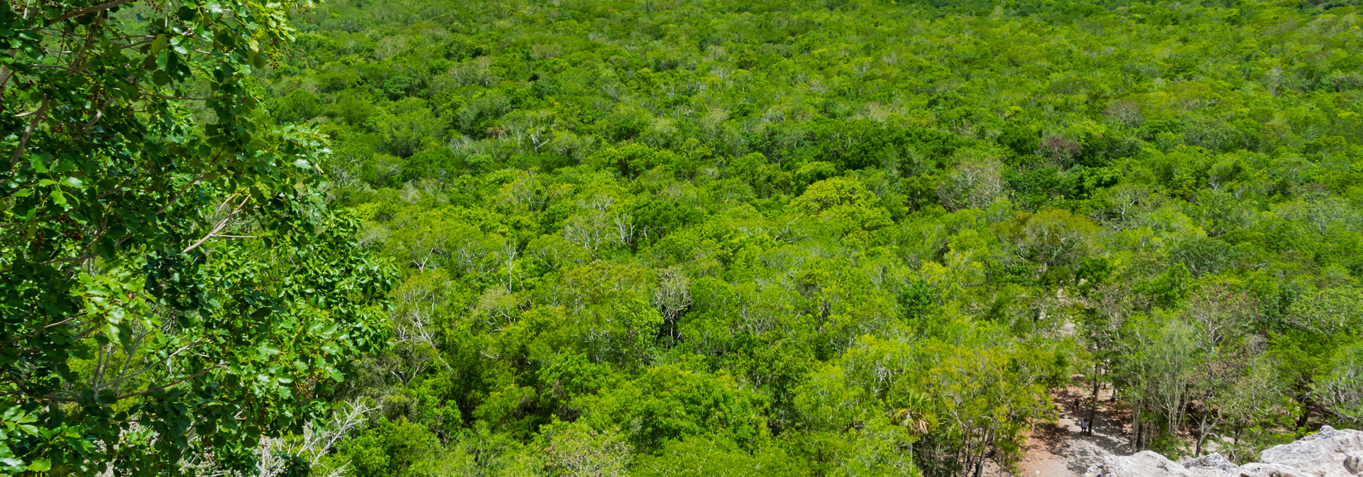 mexico - Yucatán_Coba_udsigt_02