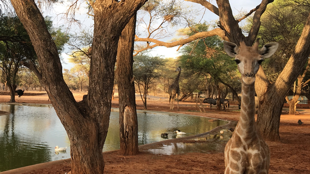 Omaruru game lodge_07