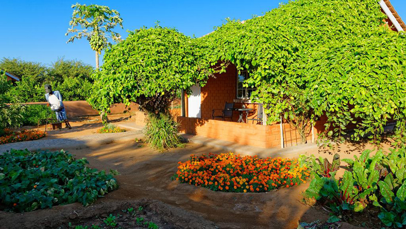 Damara mopane lodge_02