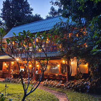 Our Jungle House