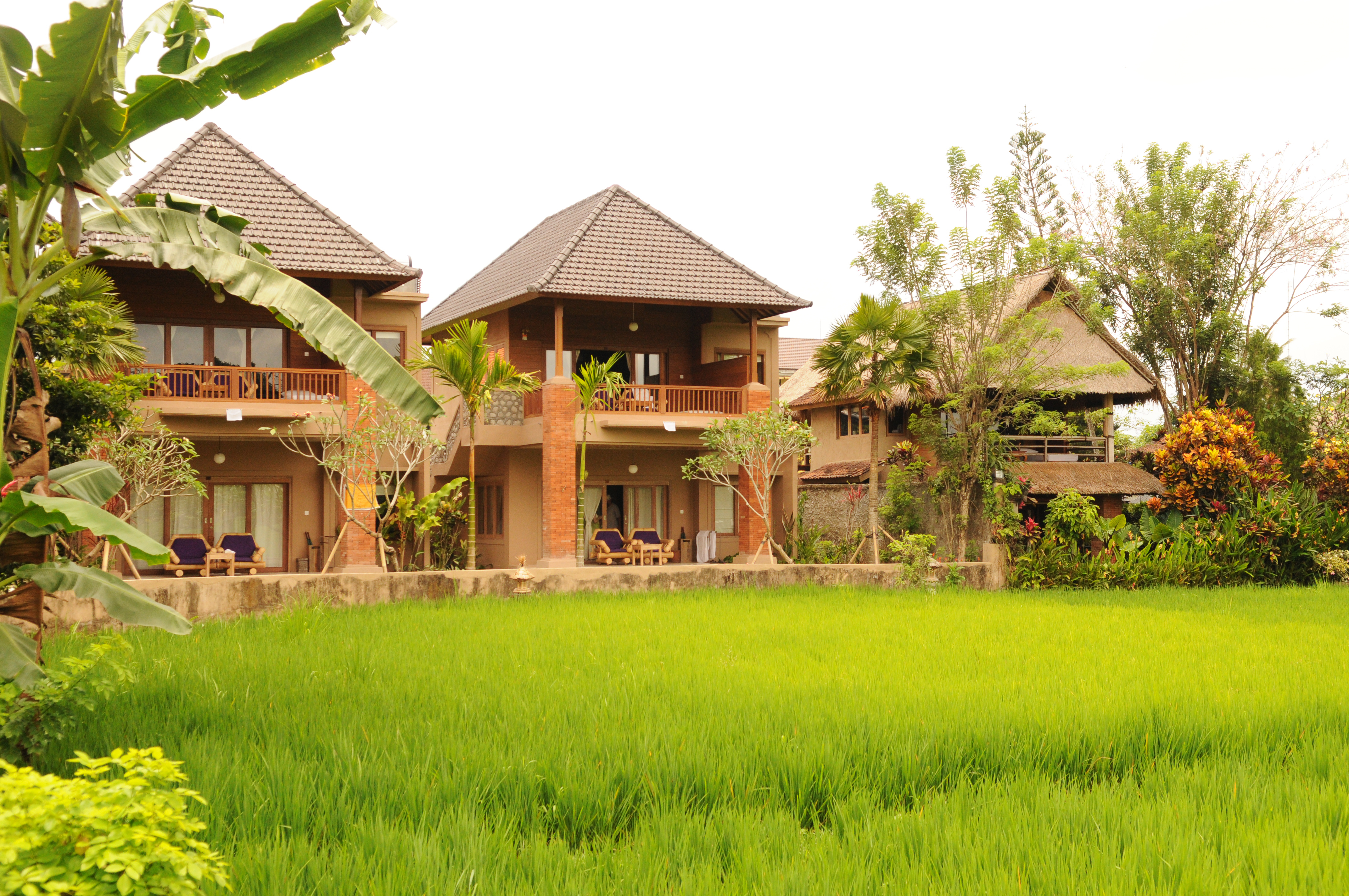 bali - tegal sari_udefra_04