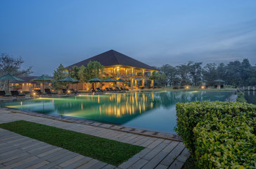 Pool By Night