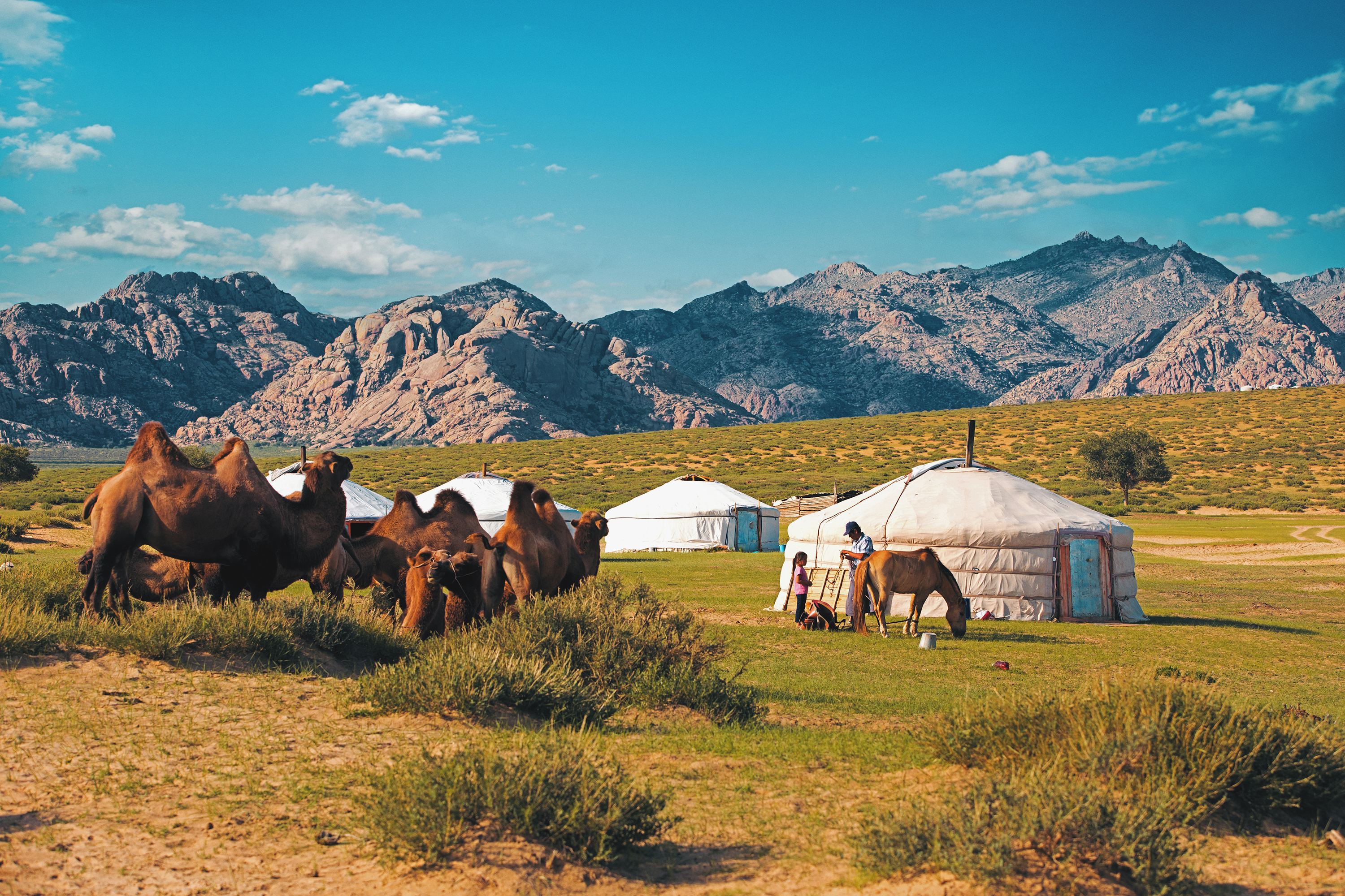 Mongoliet Ger Gobi Cc