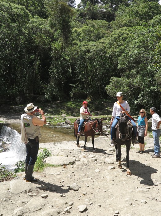 colombia - cocora dalen_vandretur_06