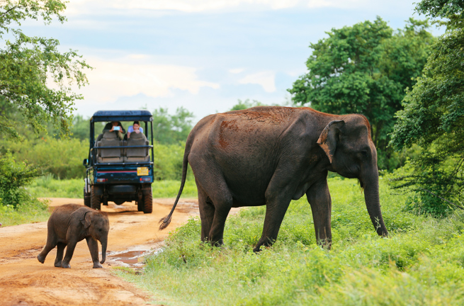 sri lanka - udawalawe_nationalpark_01