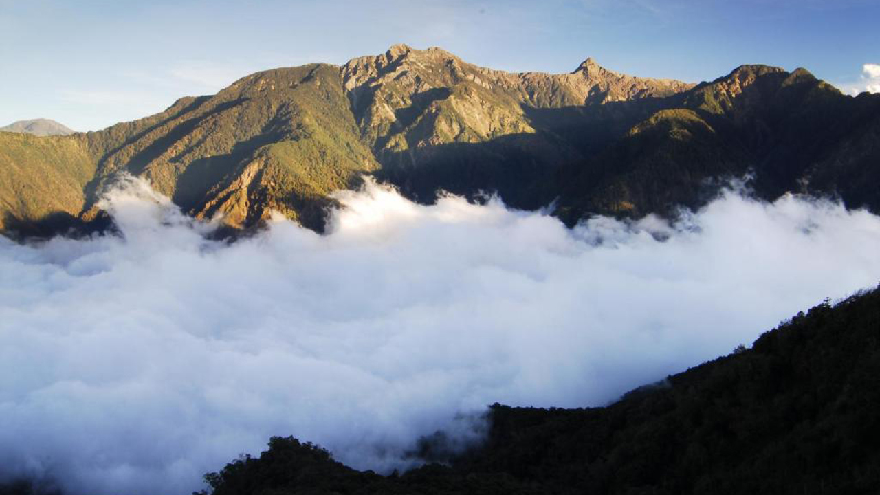 Alishan Shermuh International Tourist Hotel Udsigt