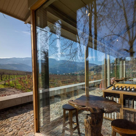 Douro dalen_Quinta da pacheca_Wineshop_01