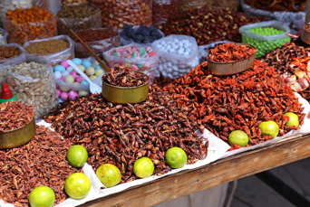 mexico - Oaxaca_chokolade græshopper_01