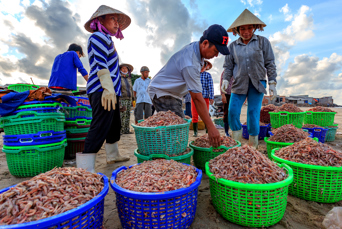 vietnam - long hai_fiskere_01