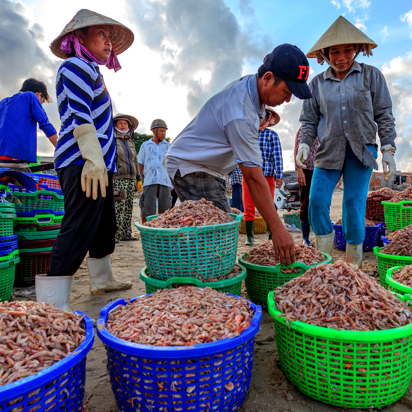 vietnam - long hai_fiskere_01