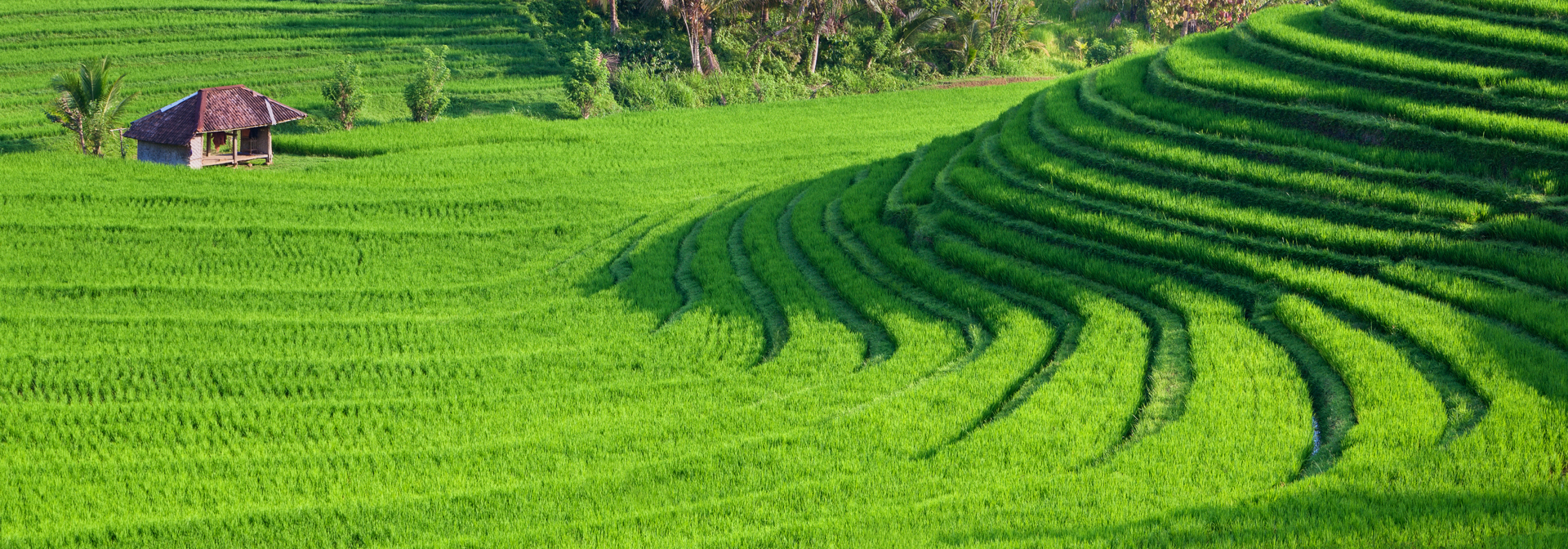Shutterstock 363198845