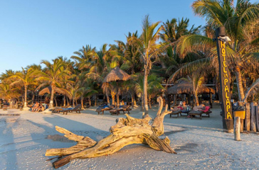 mexico - La palapa_strand_01