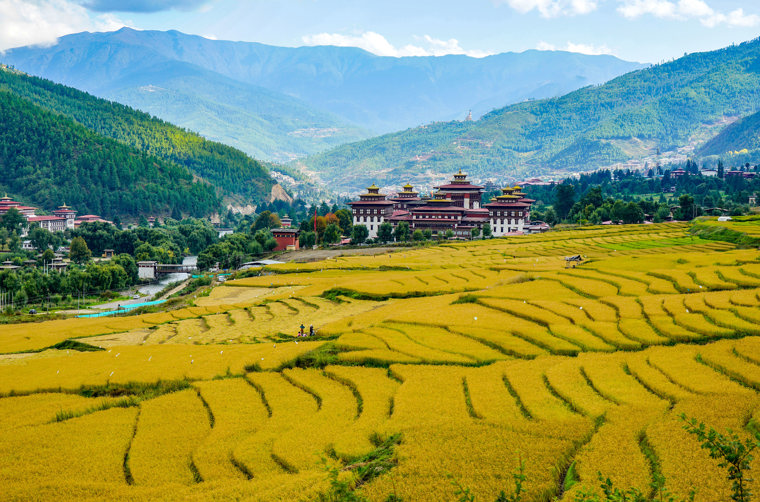Thimphu Tashichho Dzong As 378421237